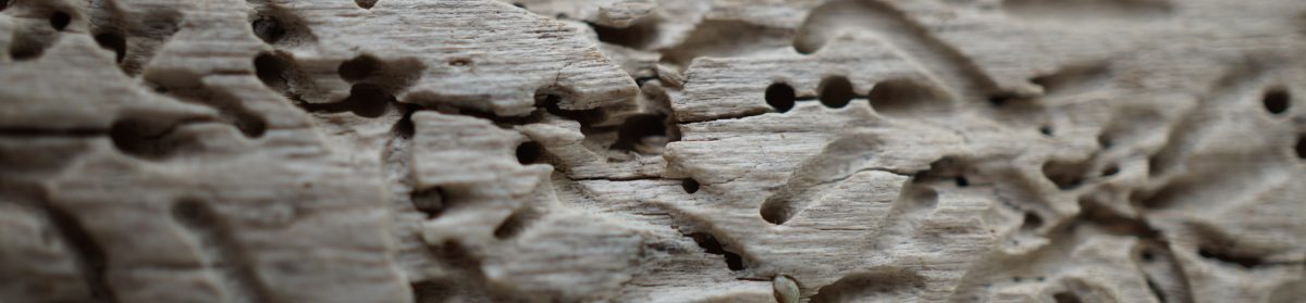 Unabhängiger Betroffenenbeirat der Diözese Rottenburg-Stuttgart