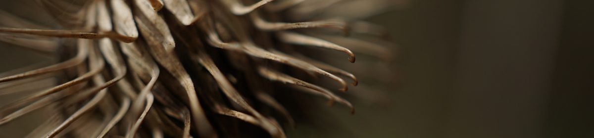 Unabhängiger Betroffenenbeirat der Diözese Rottenburg-Stuttgart