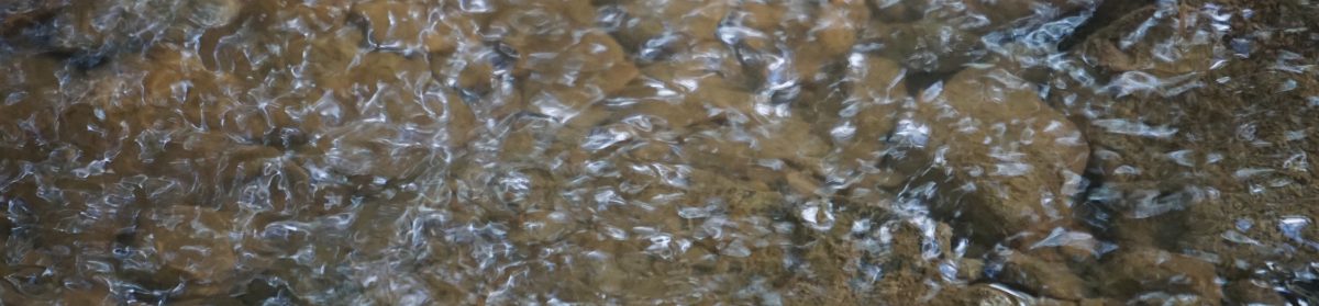 Unabhängiger Betroffenenbeirat der Diözese Rottenburg-Stuttgart