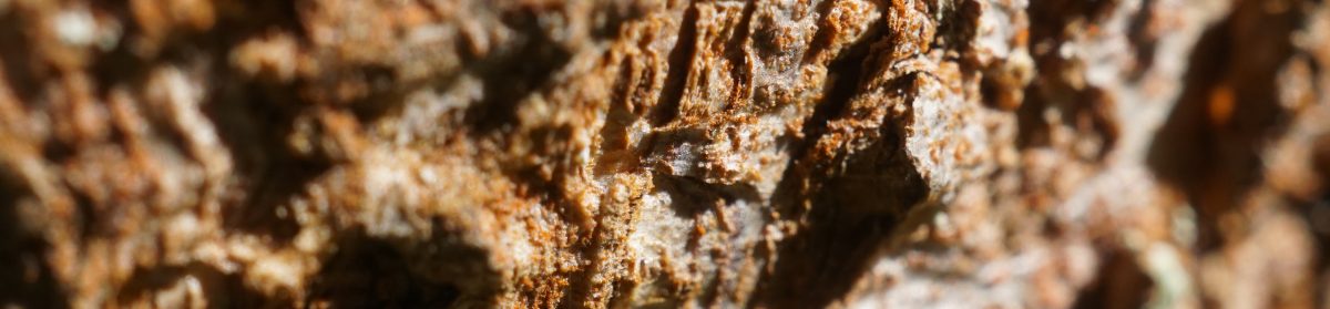 Unabhängiger Betroffenenbeirat der Diözese Rottenburg-Stuttgart