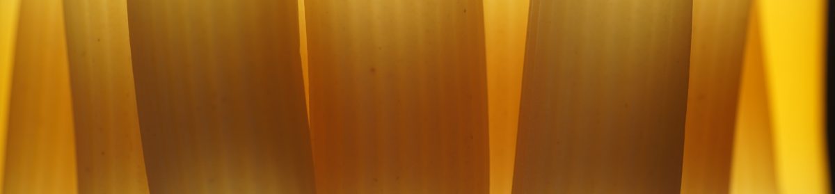 Unabhängiger Betroffenenbeirat der Diözese Rottenburg-Stuttgart