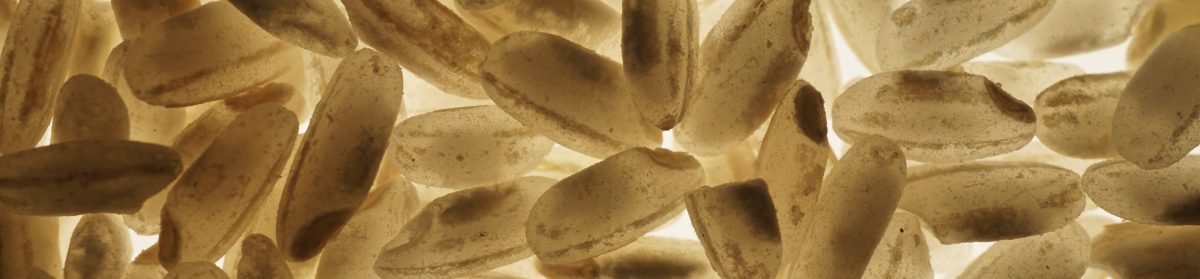 Unabhängiger Betroffenenbeirat der Diözese Rottenburg-Stuttgart